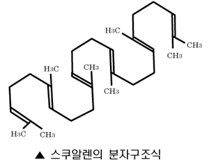 ◈◈◈ 스쿠알렌이의 연구 ◈◈◈